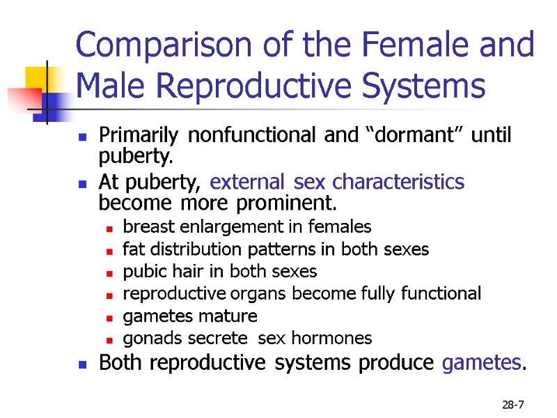 28-7 Comparison of the Female and Male Reproductive Systems Primarily nonfunctional and “dormant” until